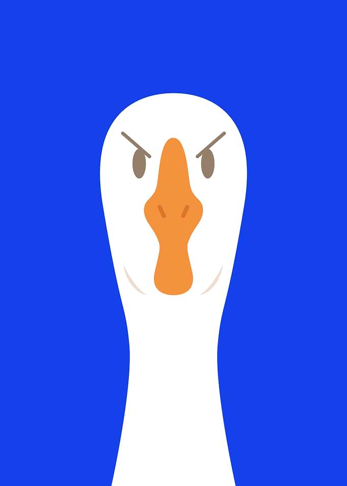 Angry Goose Portrait