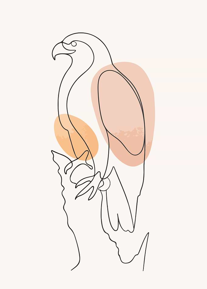 Minimalist Eagle Line Art