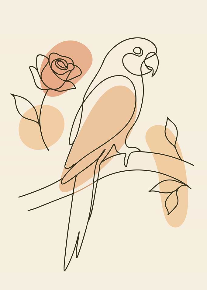 Parrot and Rose Line Art