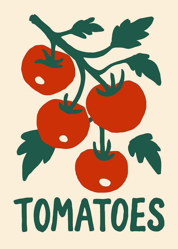 Tomatoes on the vine Art