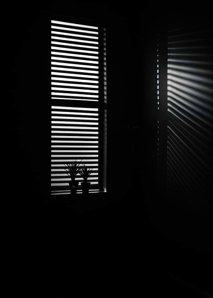 Dark Room with Window and Plants