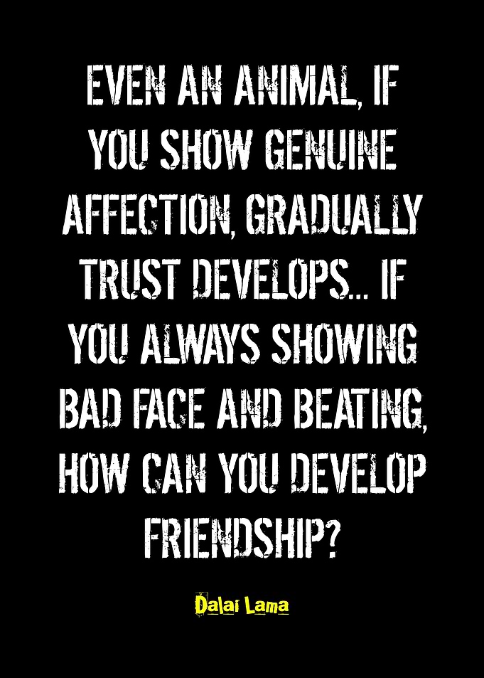 Dalai Lama Quote on Friendship