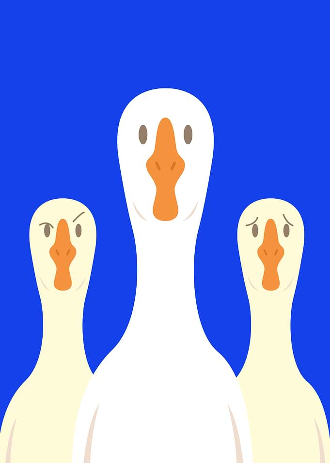 Three Geese