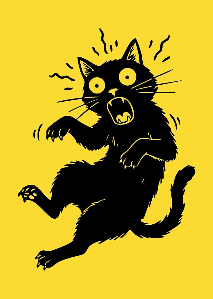 Scared Black Cat Cartoon Illustration