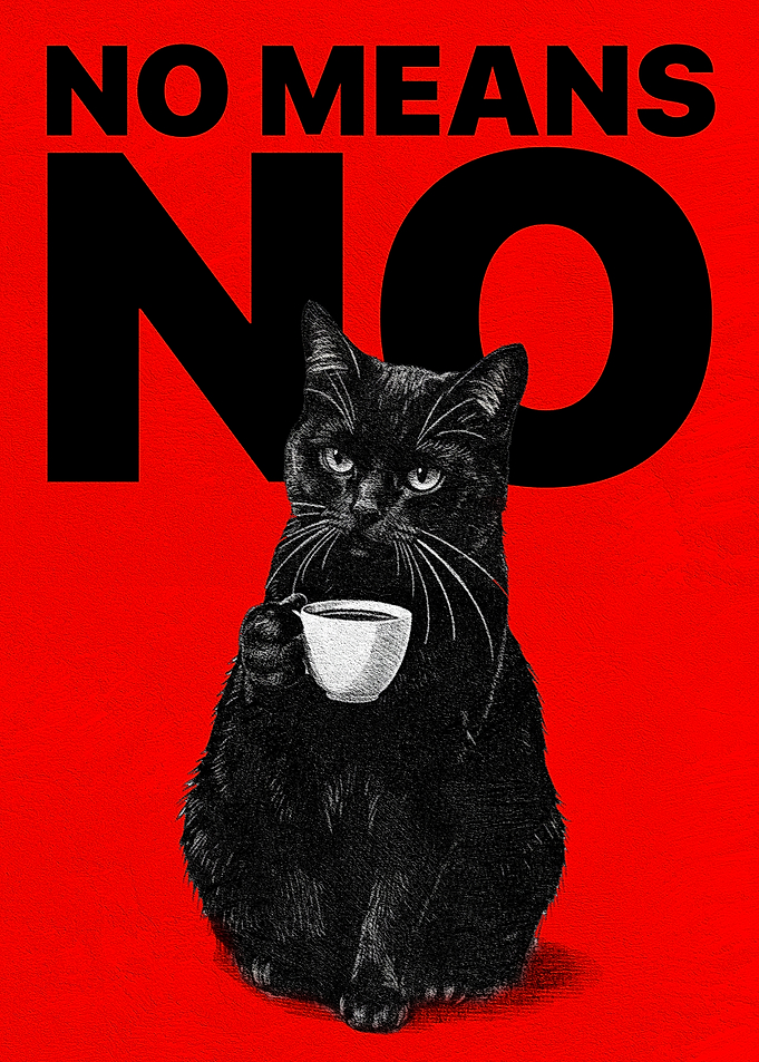 Funny Black Cat “No Means No” Quote Poster