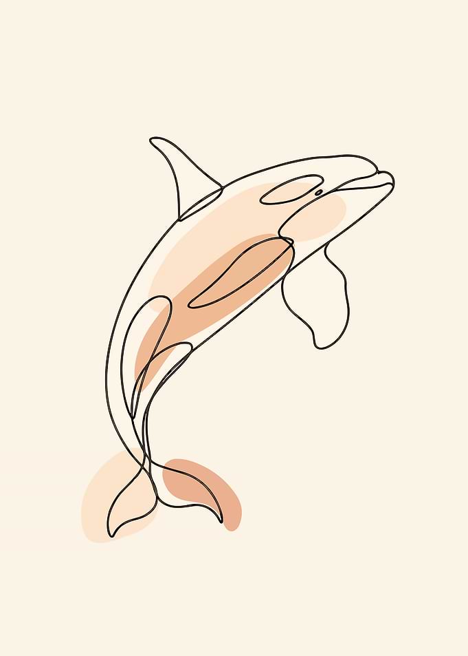 Minimalist Orca Line Art