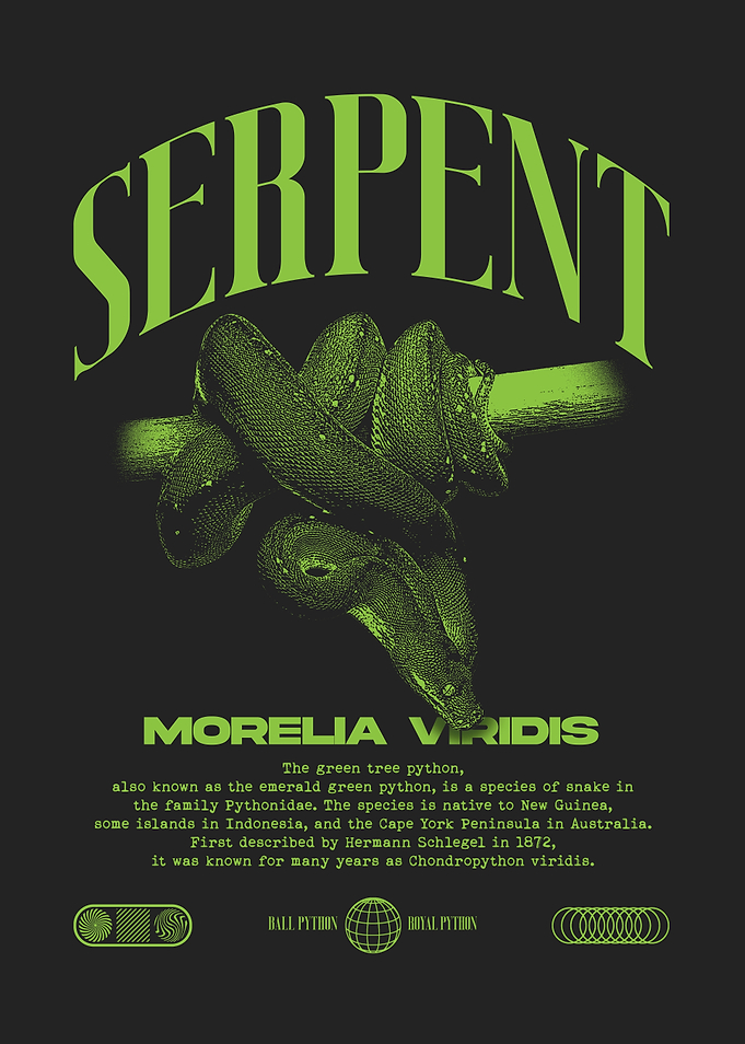 Morelia Viridis Green Tree Python Reptile Owner