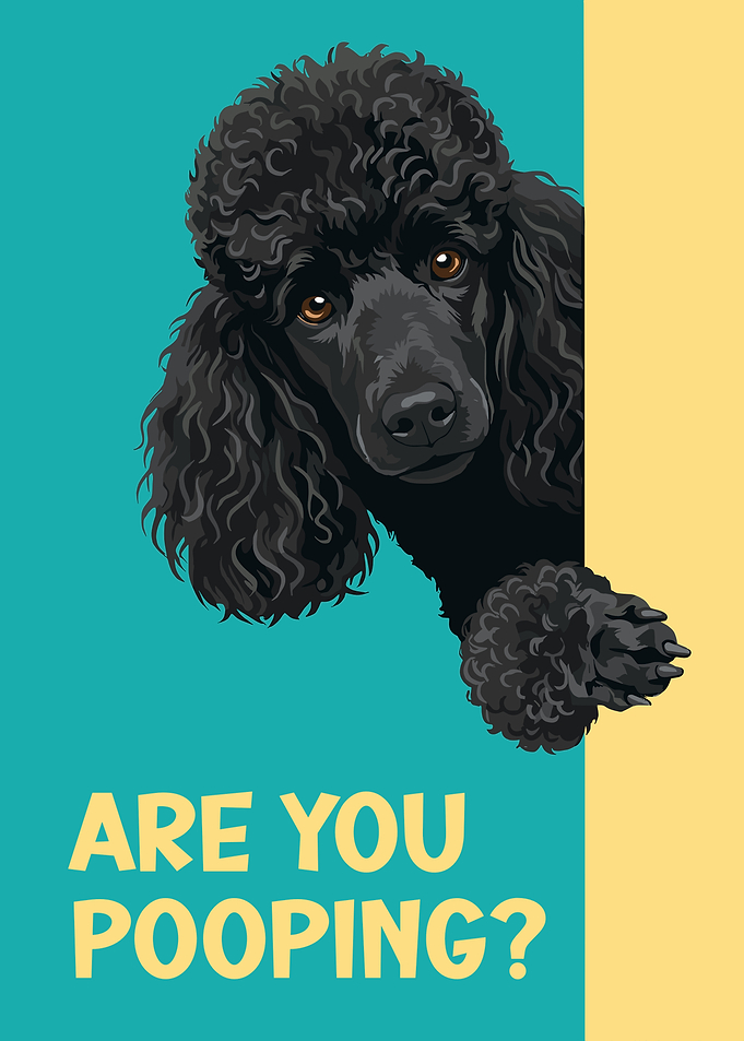 Are You Pooping? Black Poodle