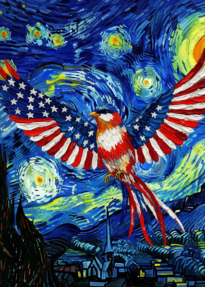 American Flag Bird Starry Night