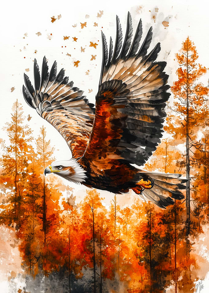 Eagle soaring over autumn forest