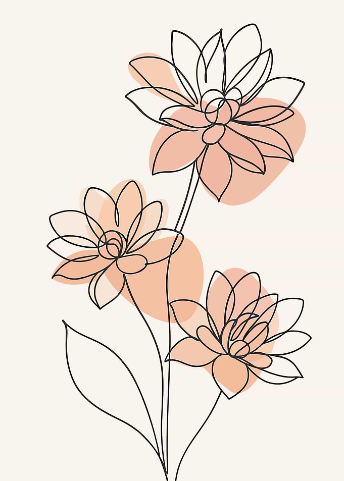 Minimalist Floral Line Art