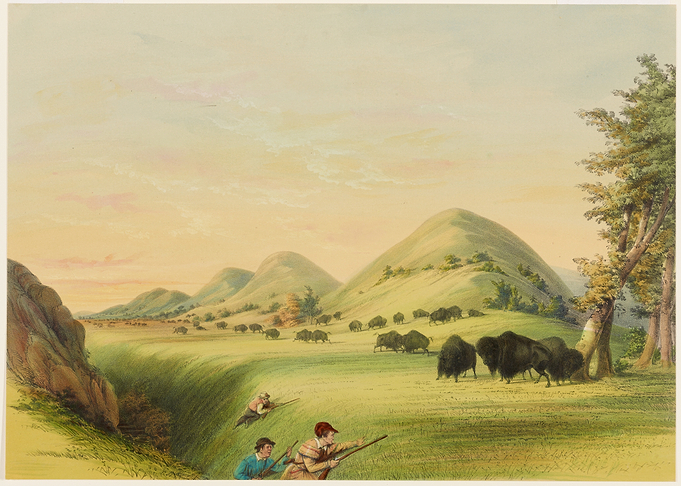 george catlin Buffalo Hunt Landscape Painting