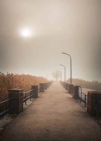 Foggy Path with Streetlights