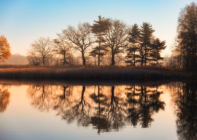 Morning Reflections on a Calm Lake