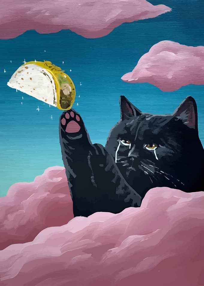Crying Cat Reaching for Taco