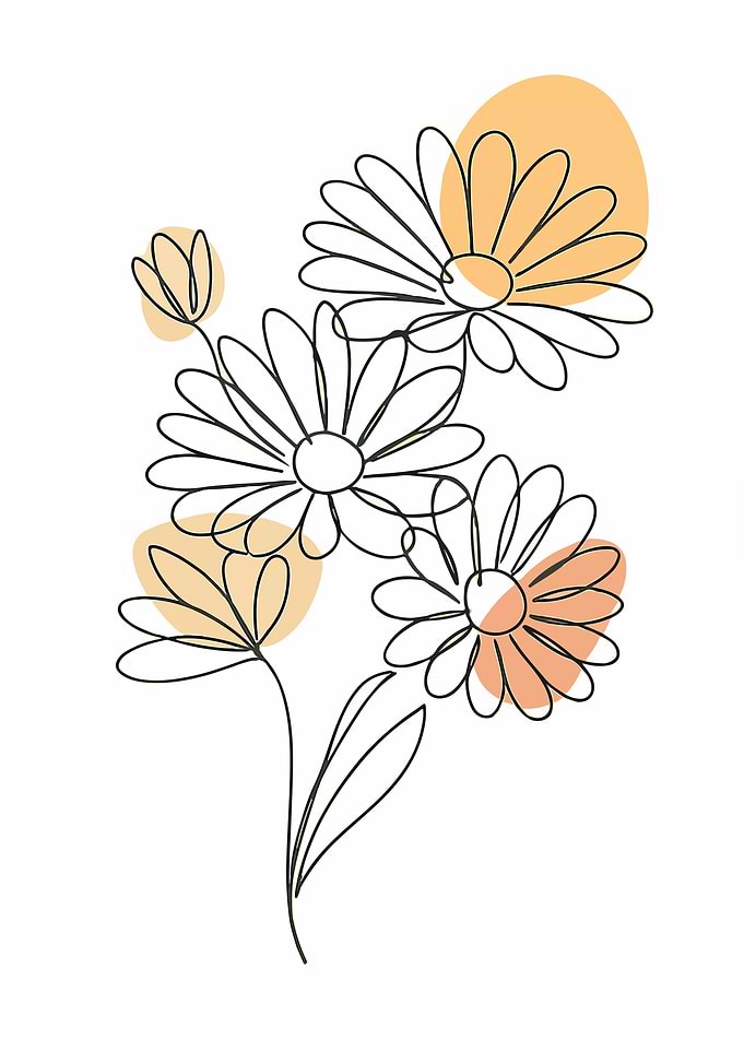 Minimalist Daisy Line Art with Accents