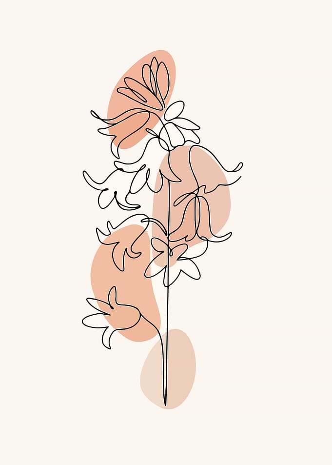 Minimalist Floral Line Art Illustration