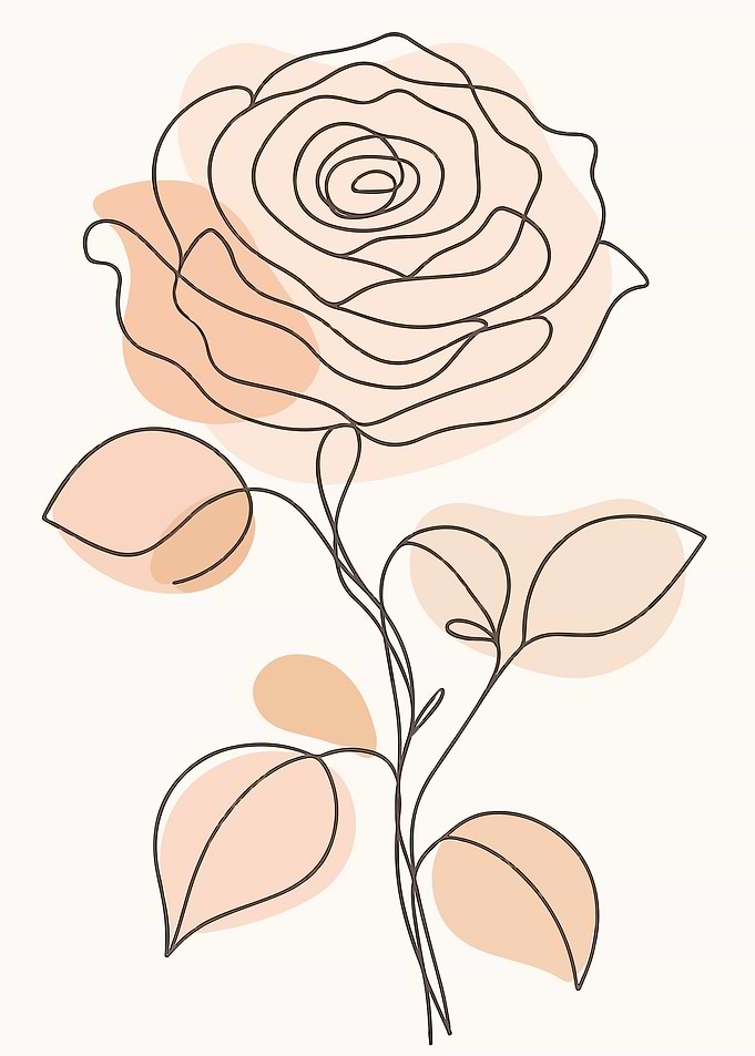 Minimalist Rose Line Art