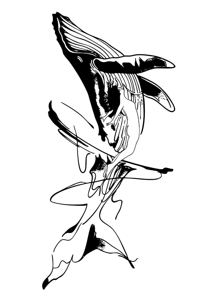 Whale and Woman Black and White Art