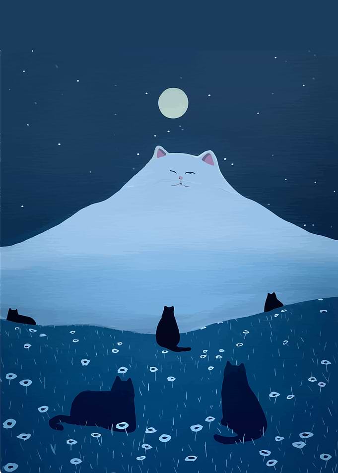 Cat Mountain Night