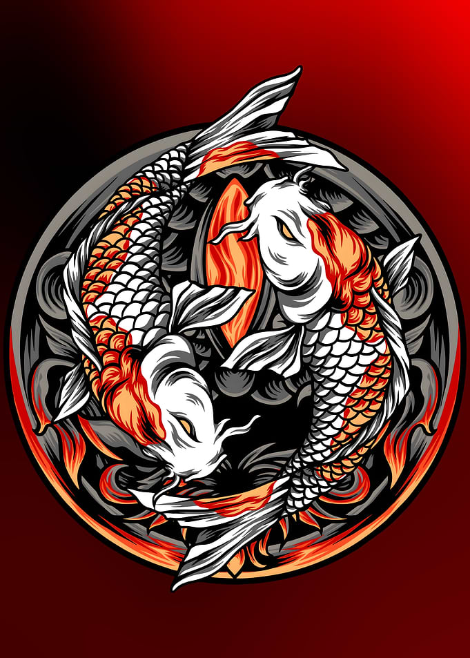 Koi Fish Yin Yang Illustration