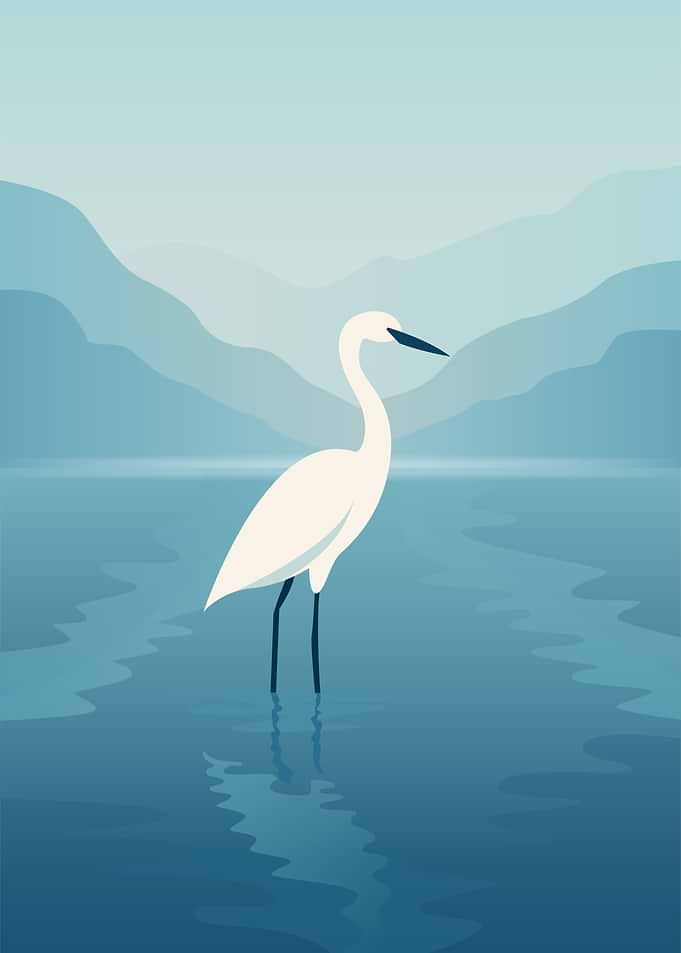 Silent Waters