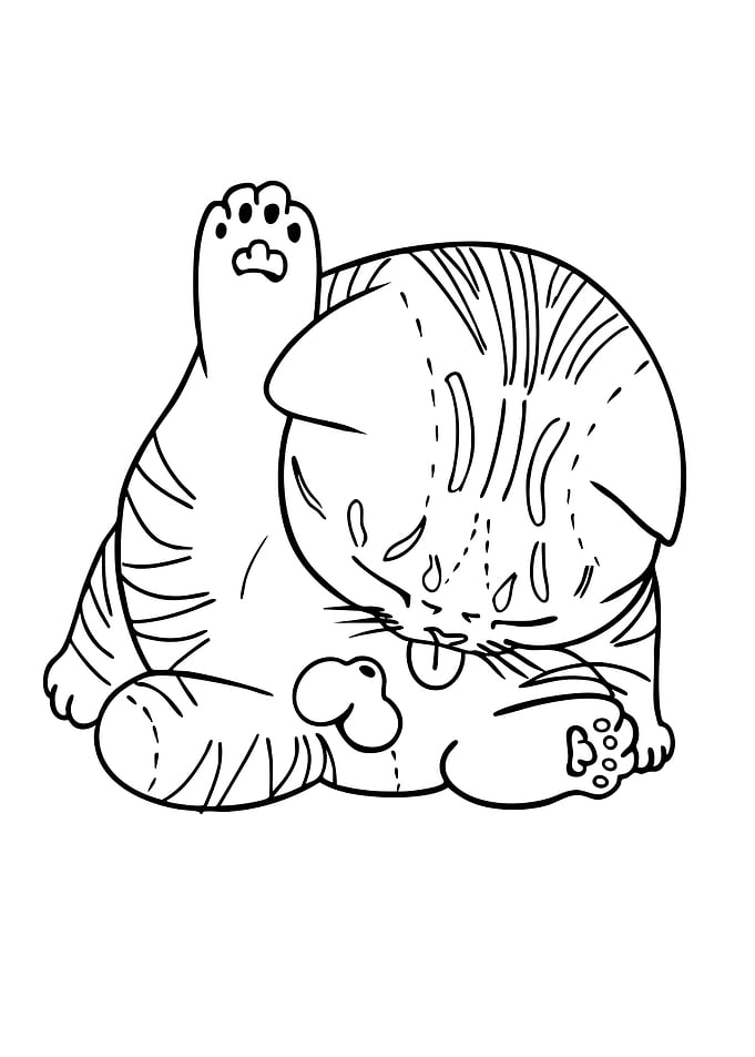 Cute Cat Grooming Line Art