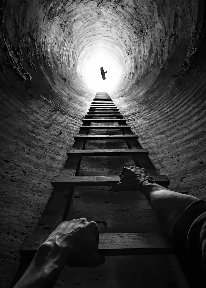 Climbing Ladder to Freedom