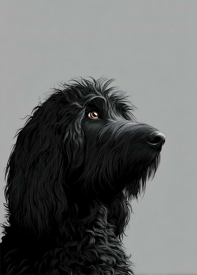 Black Dog Portrait
