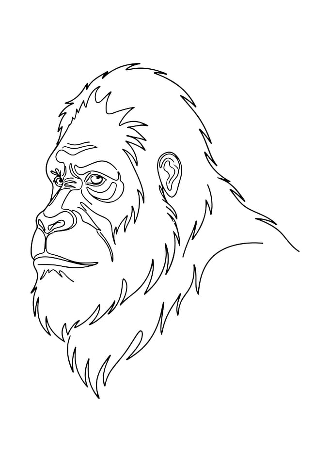 Bigfoot Line Art