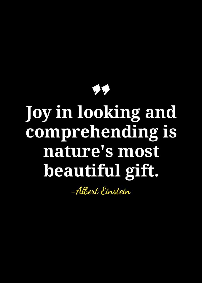 Albert Einstein Quote on Nature