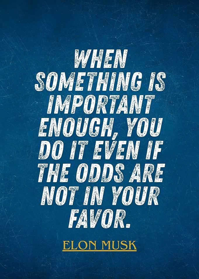 Elon Musk Inspirational Quote Poster