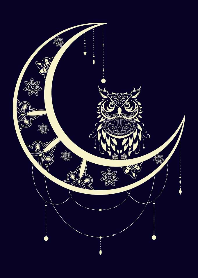 Owl on Crescent Moon Illustration