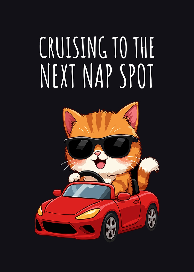 Cat Cruising to Next Nap Spot