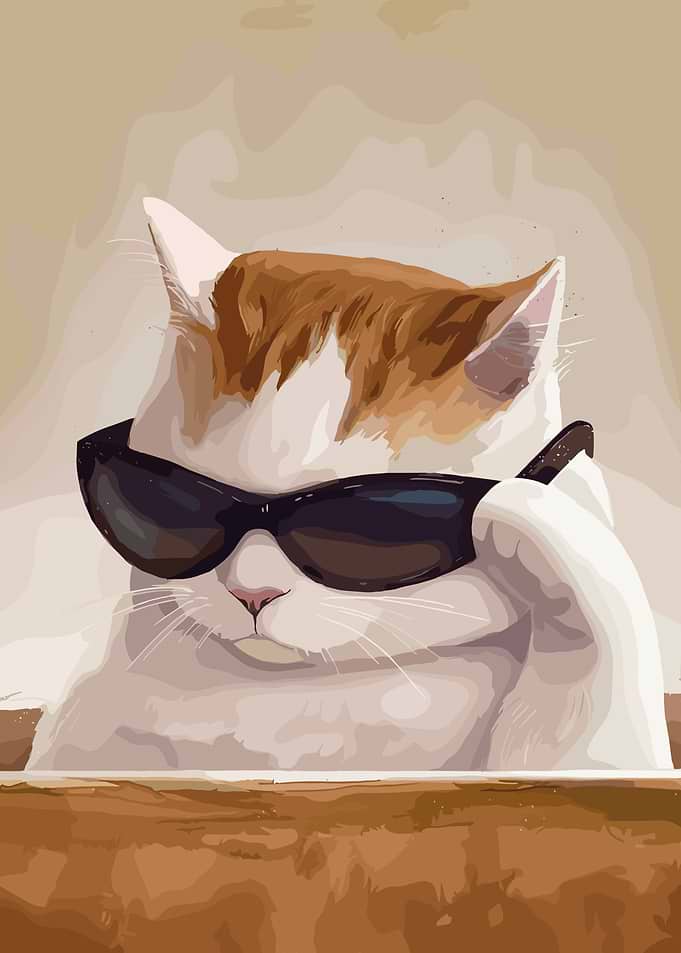 Cool Cat with Sunglasses