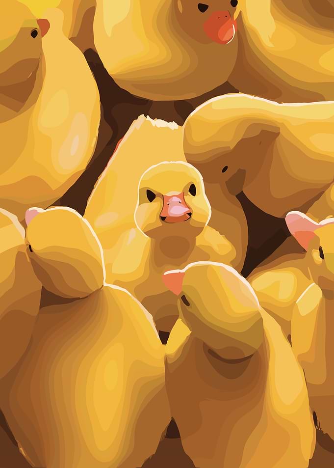 Yellow Ducklings Crowd