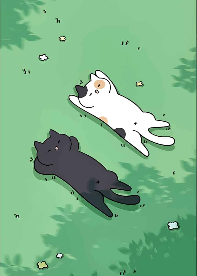 Cats Sunbathing on Green Grass