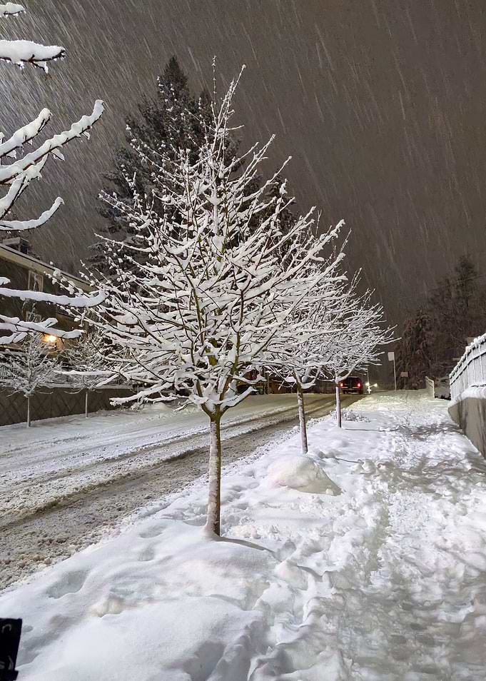 Snowy street at night in Seattle, Washington