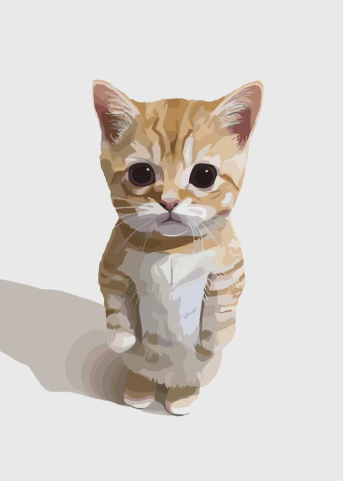 Cute Kitten with Big Eyes