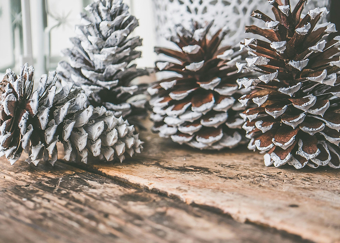 Pine Cones on Wooden Surface