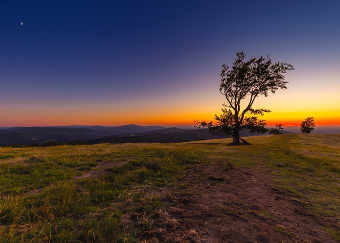 Sunset Landscape with Tree and Moon, Beskid Mountains