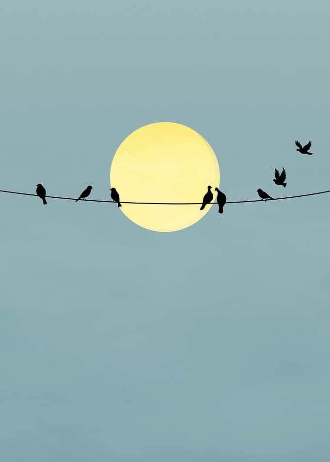 Birds on a Wire Silhouette