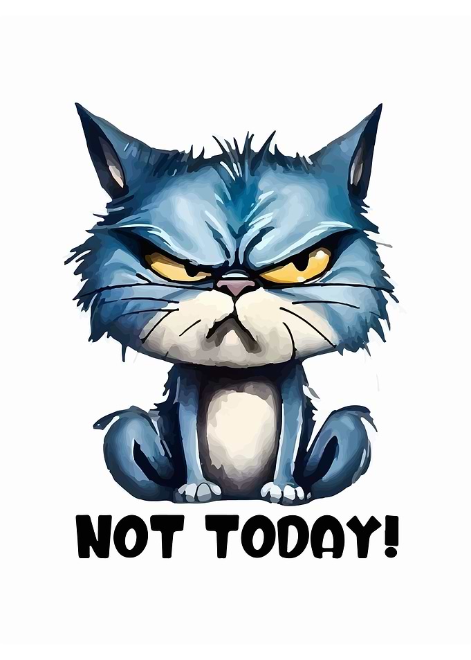 Grumpy Cat - Not Today