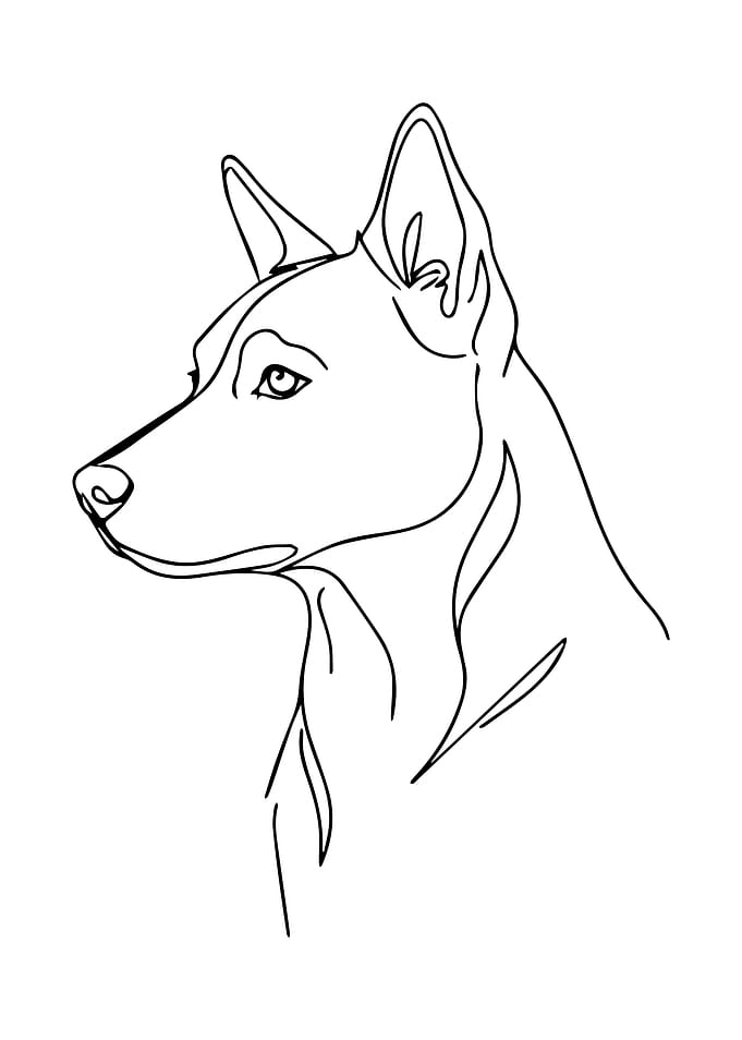 Dog Portrait Line Art