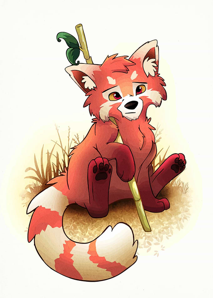 Cute Red Panda with Bamboo Stick