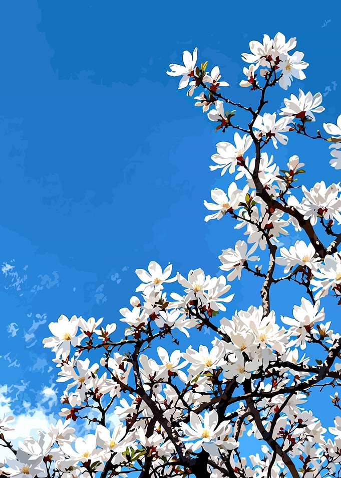 White Flowers Against Blue Sky