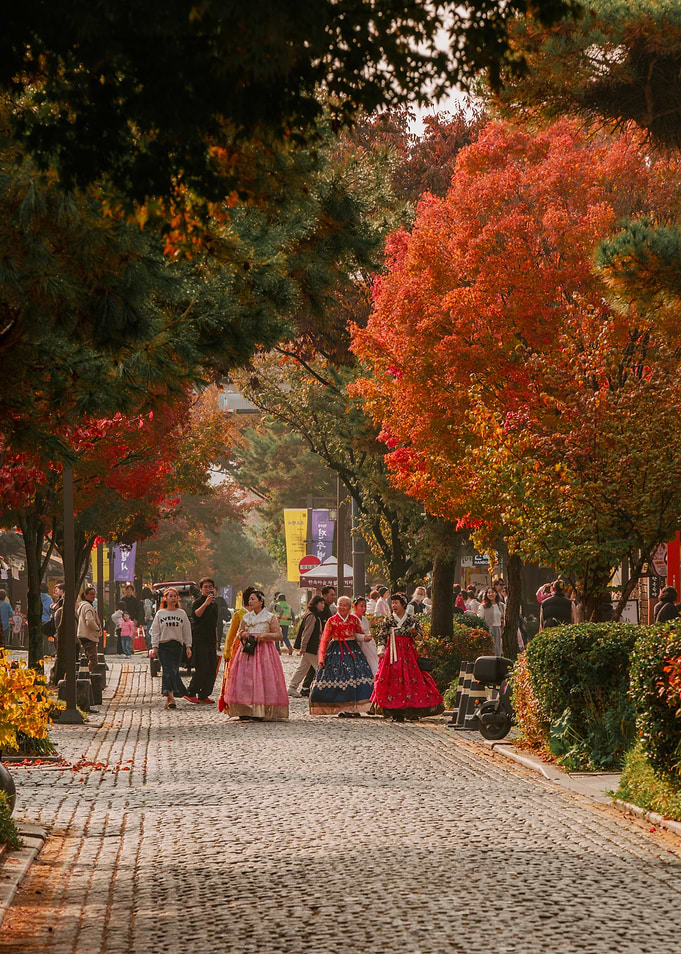 Autumn Street in Jeonju, South Korea