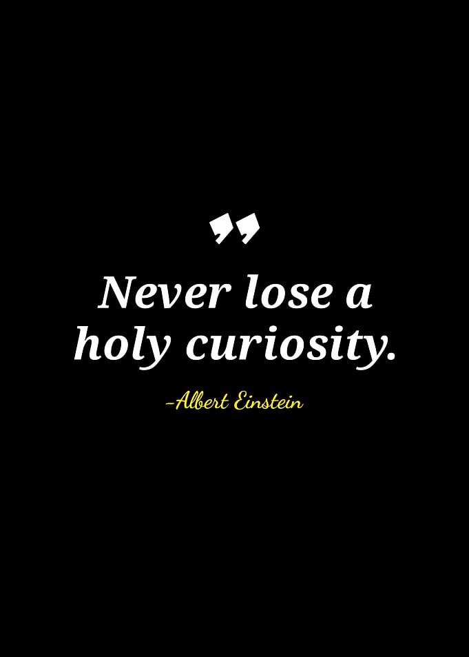Never lose a holy curiosity