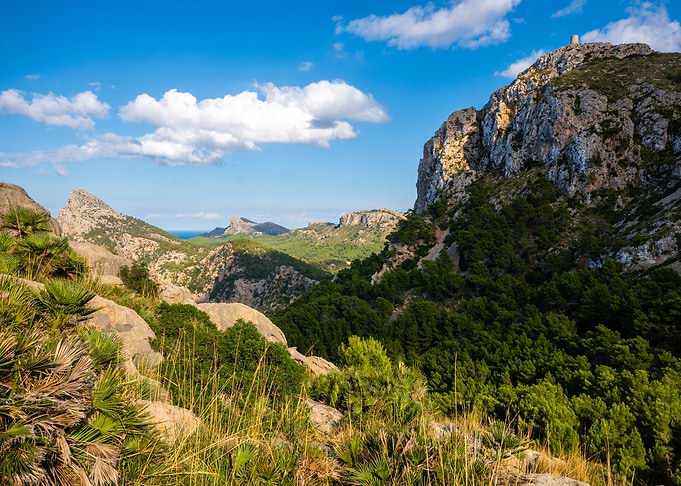 Formentor Peninsula: Green Mountains & Historic Watchtower, Mallorca