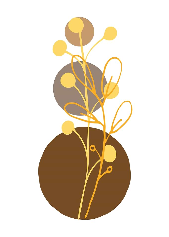 Minimalist Floral Art with Circles